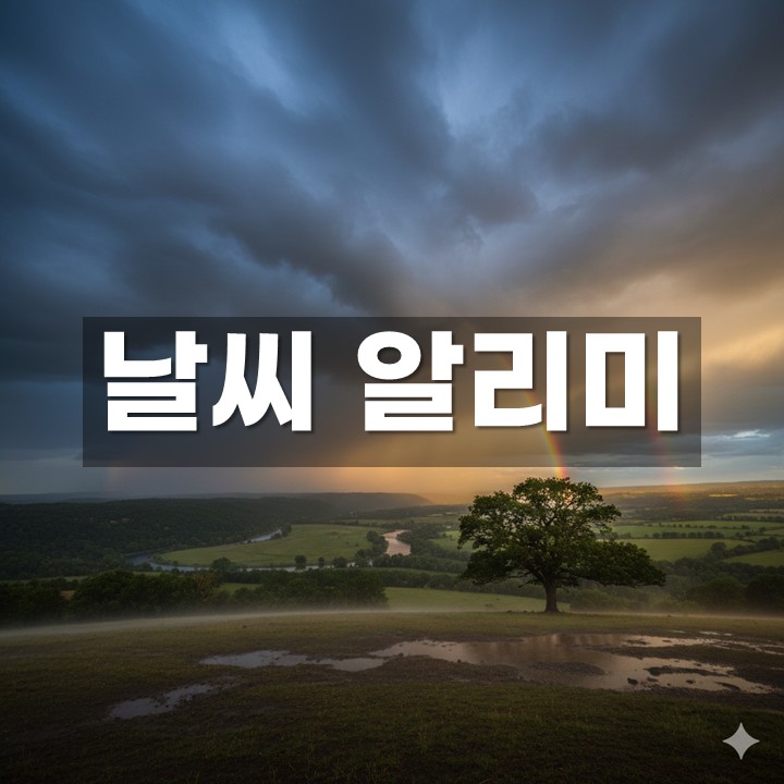 �����˸��� ����